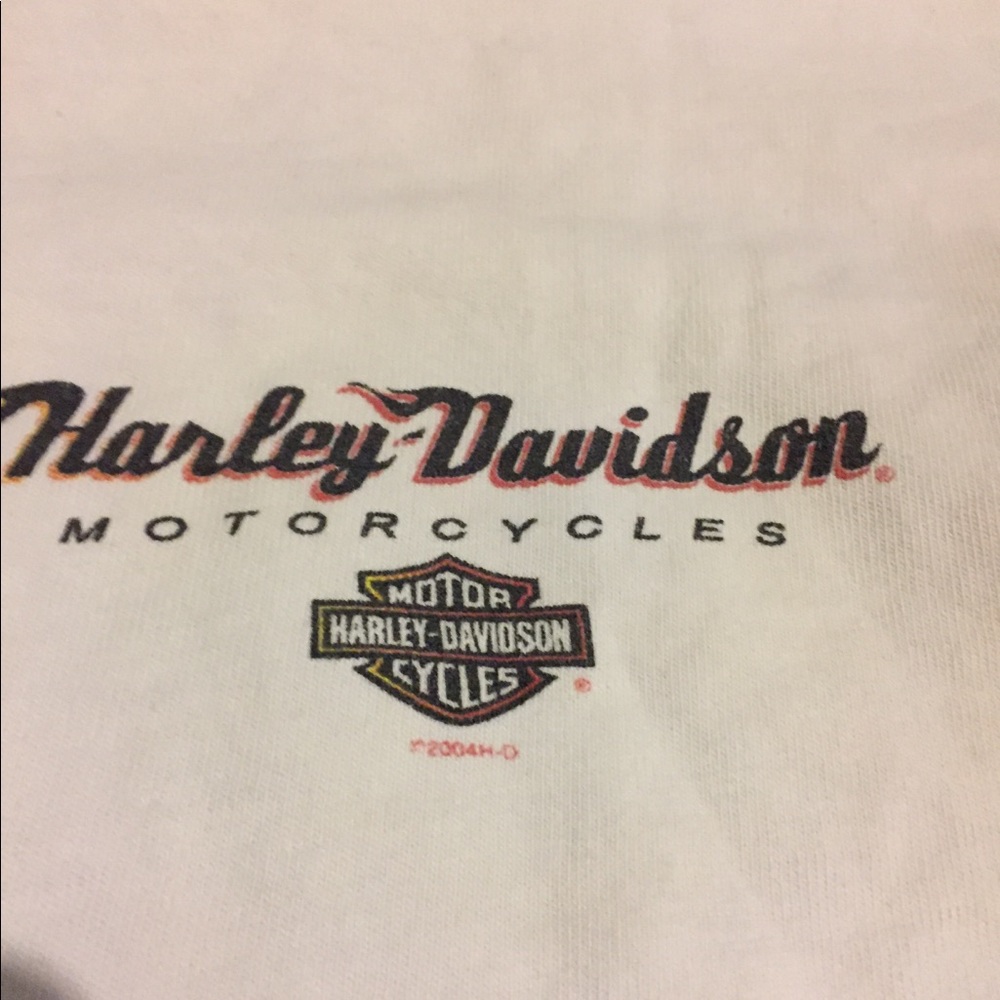 Vintage Holoubek Harley t shirt